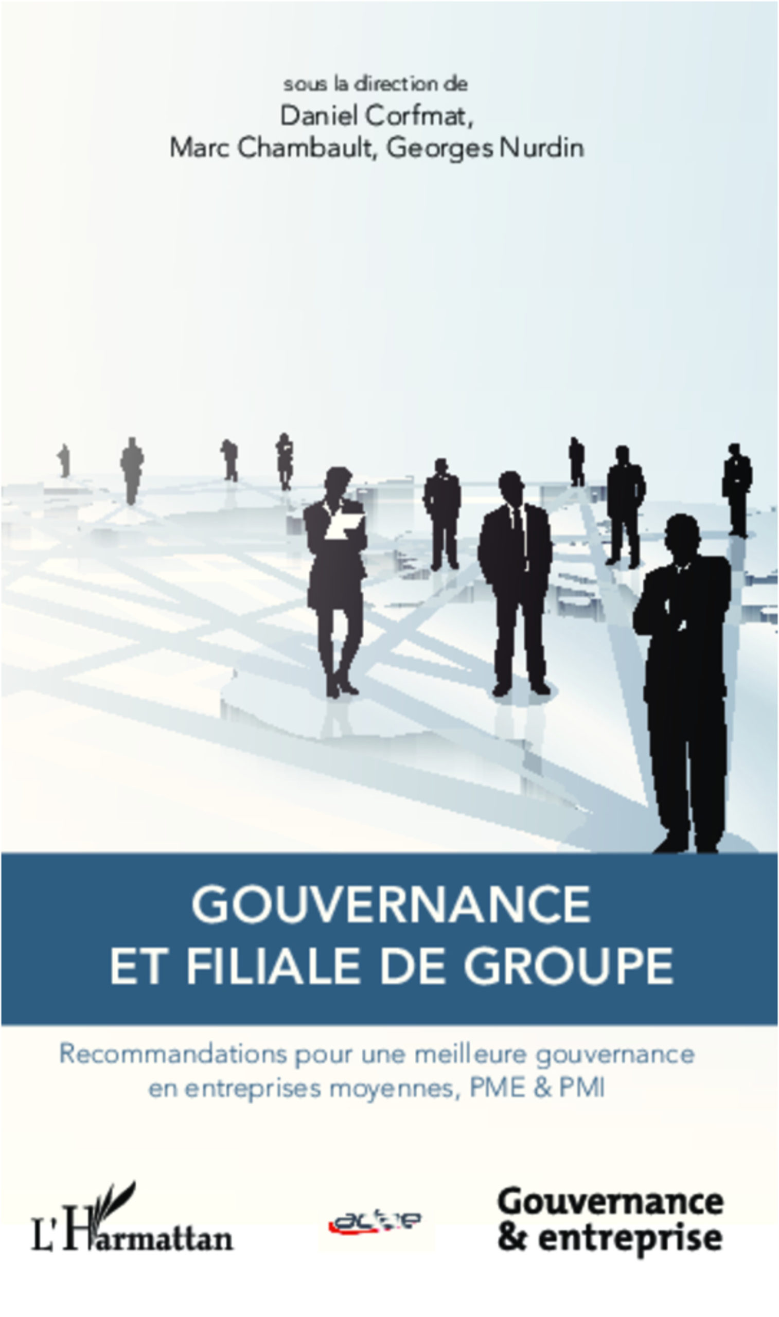 Gouvernance et Filiale de groupe